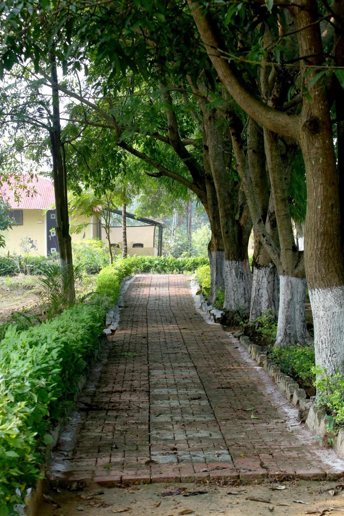 Tribal Wood Resort Dhanwār 외부 사진