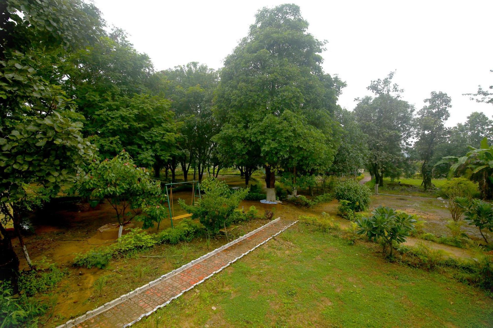 Tribal Wood Resort Dhanwār 외부 사진